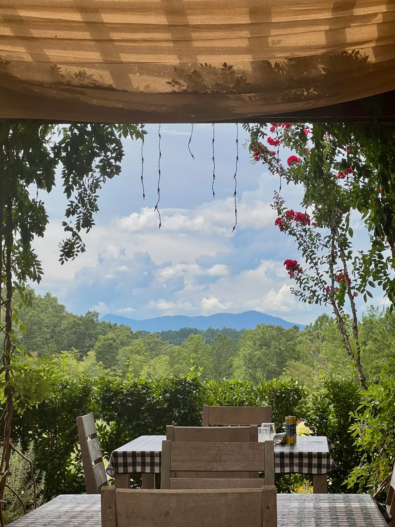 Covered terrace at Mountain Brook Vineyards in Tryon, North Carolina, with crepe myrtle in bloom and the Blue Ridge escarpment in the distance