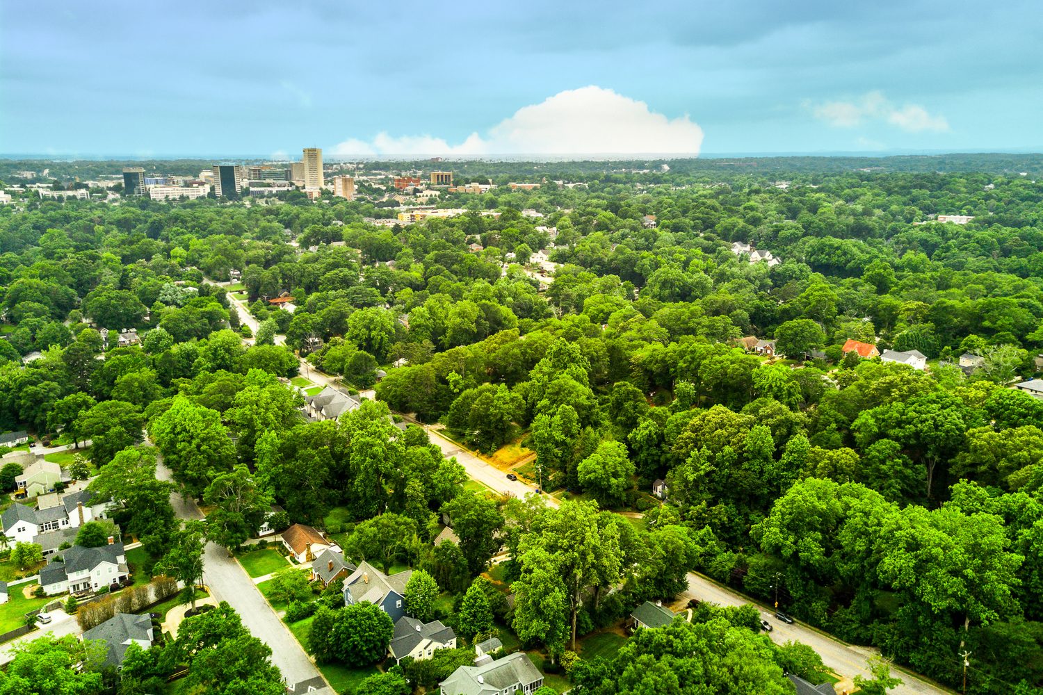 North Main, Greenville