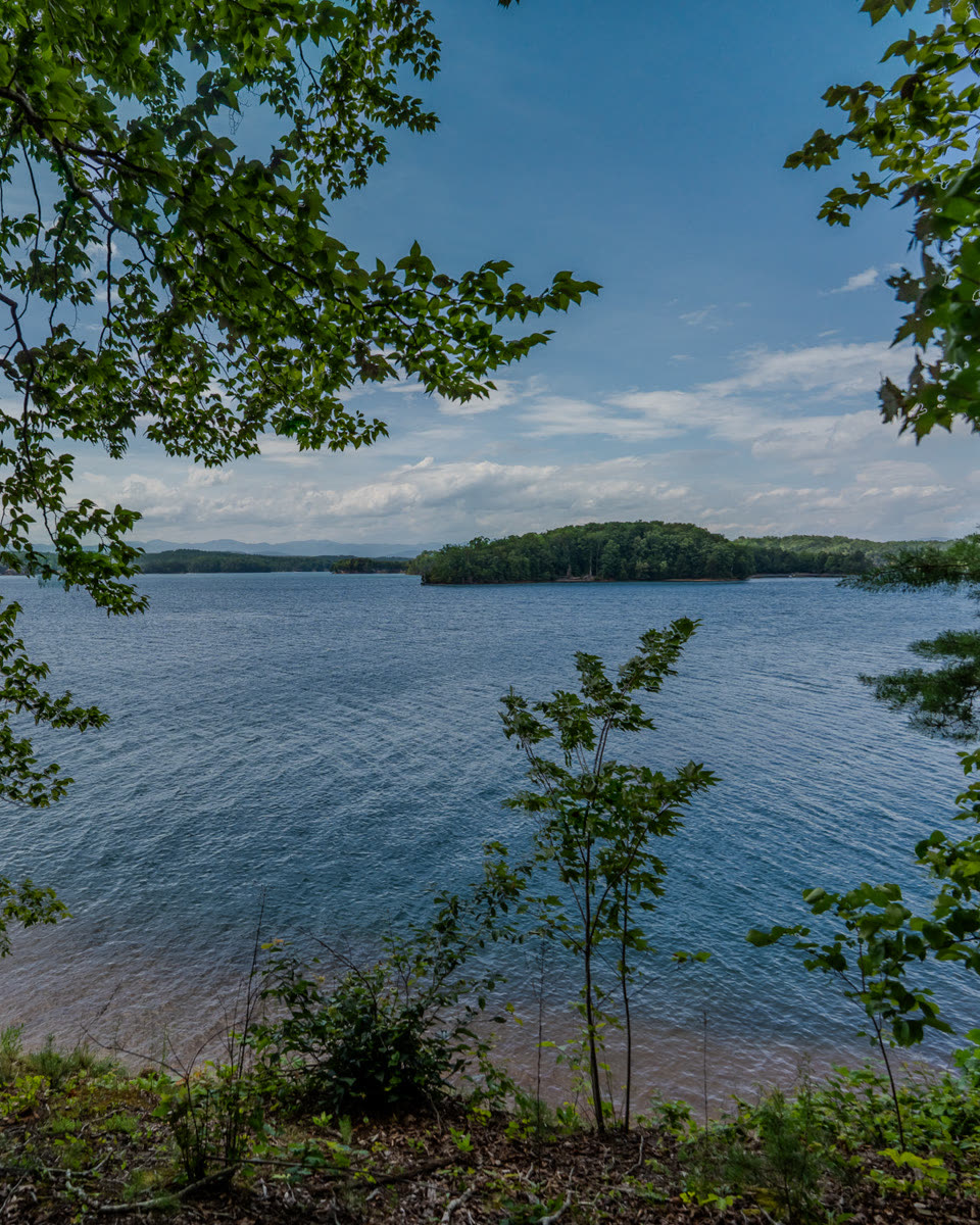 Lake Keowee through the hardwoods at the first Ground Up homesite, The Cliffs at Keowee Springs