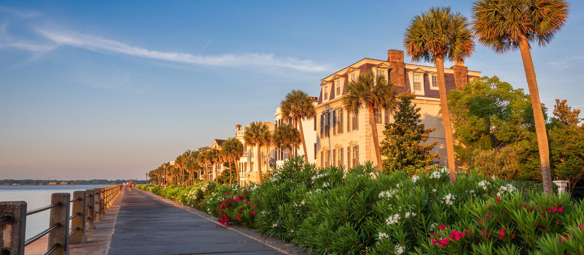 The High Battery seawall promenade, oleanders in bloom and East Battery's houses lined up along the harbor