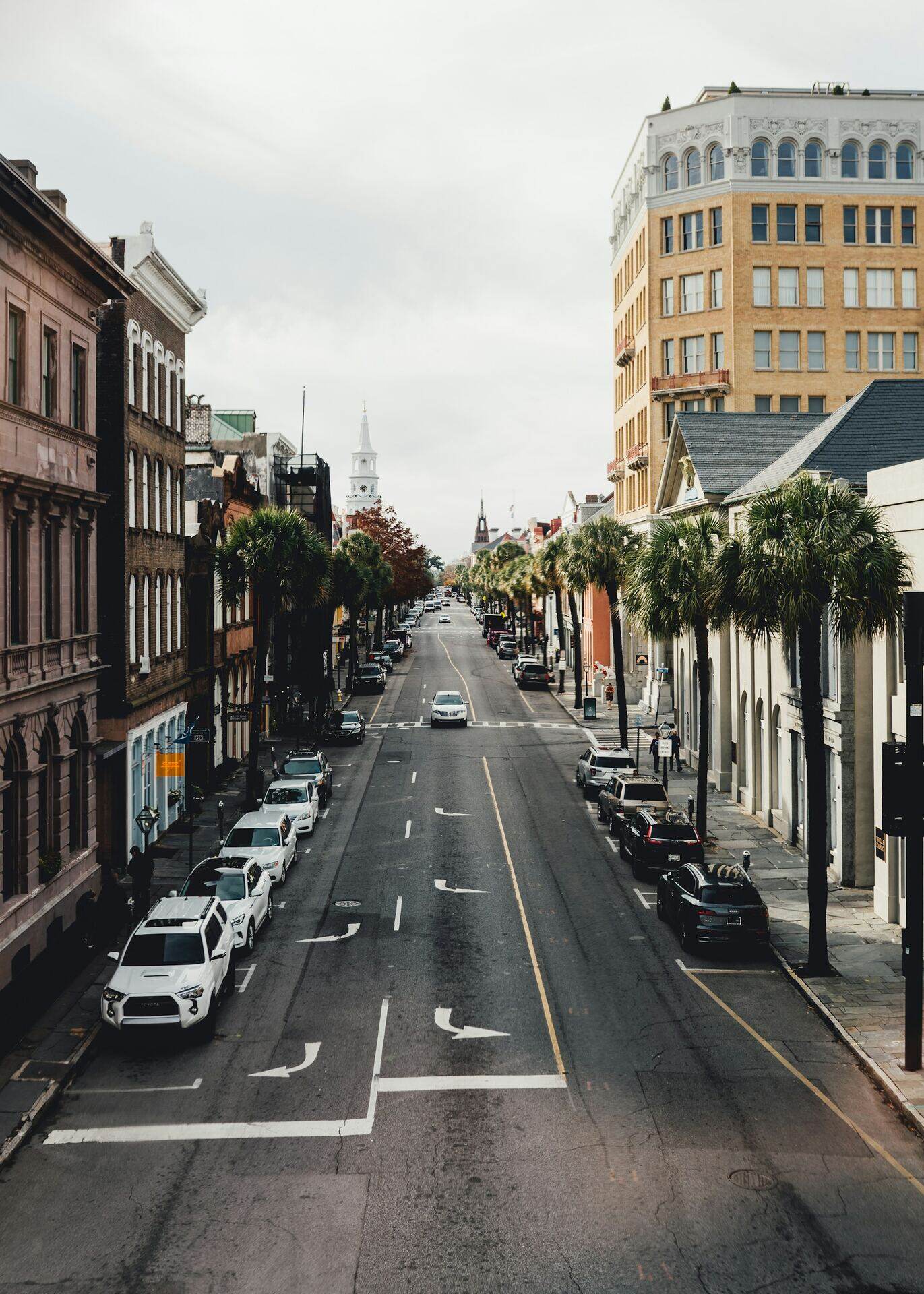 King Street looking down the peninsula, palmettos and storefronts