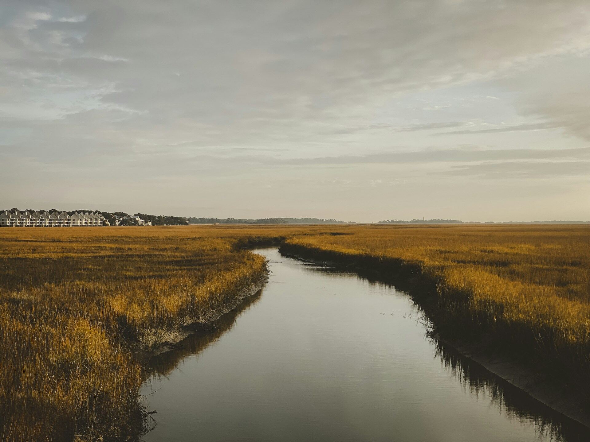 A tidal creek cutting through Lowcountry marsh at golden hour