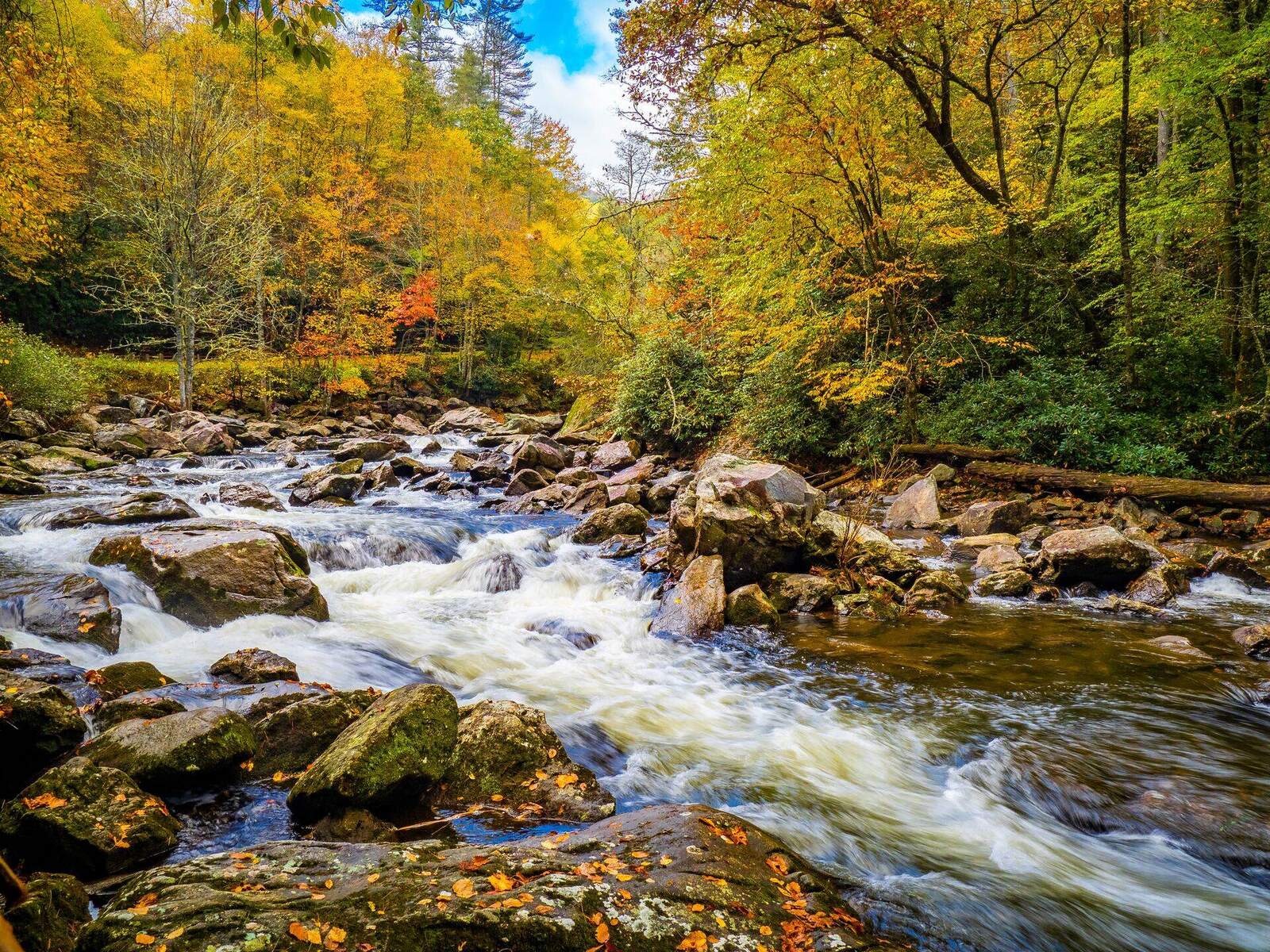 A stream running over rock through the Blue Ridge in autumn colour