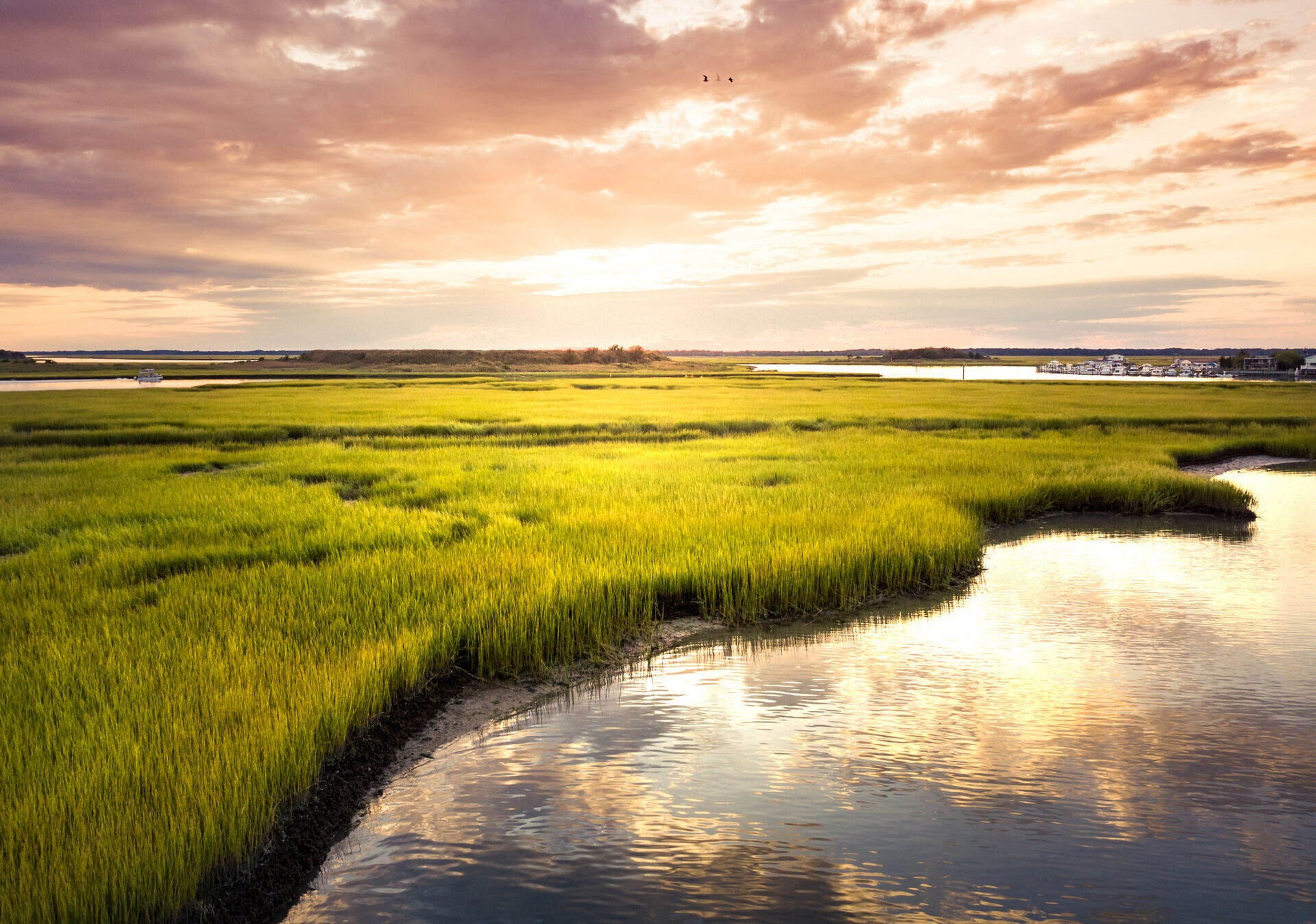 A tidal creek winding through Lowcountry marsh grass at golden hour
