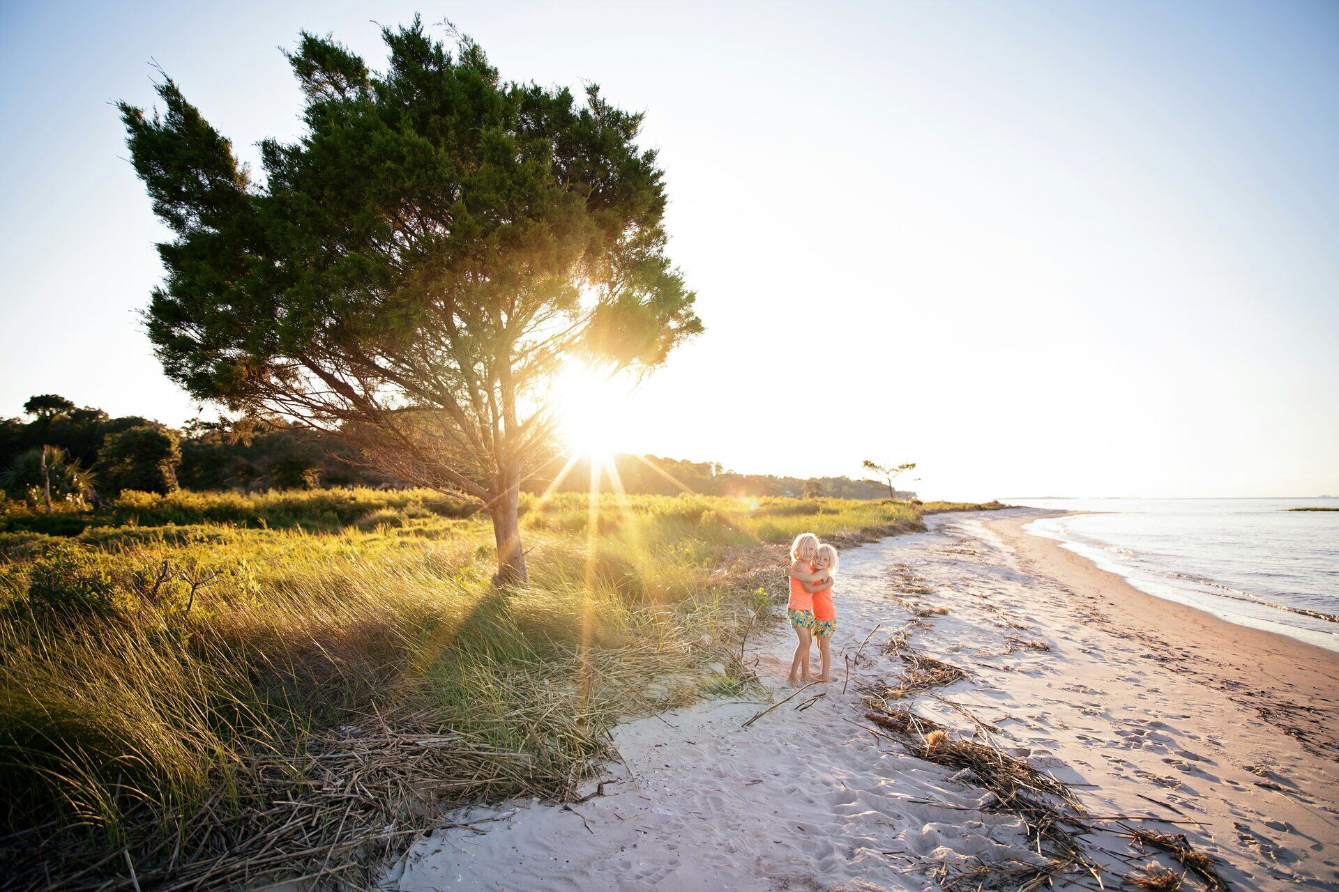 A wind-shaped live oak over a sand path at sunrise, two children on the beach beyond
